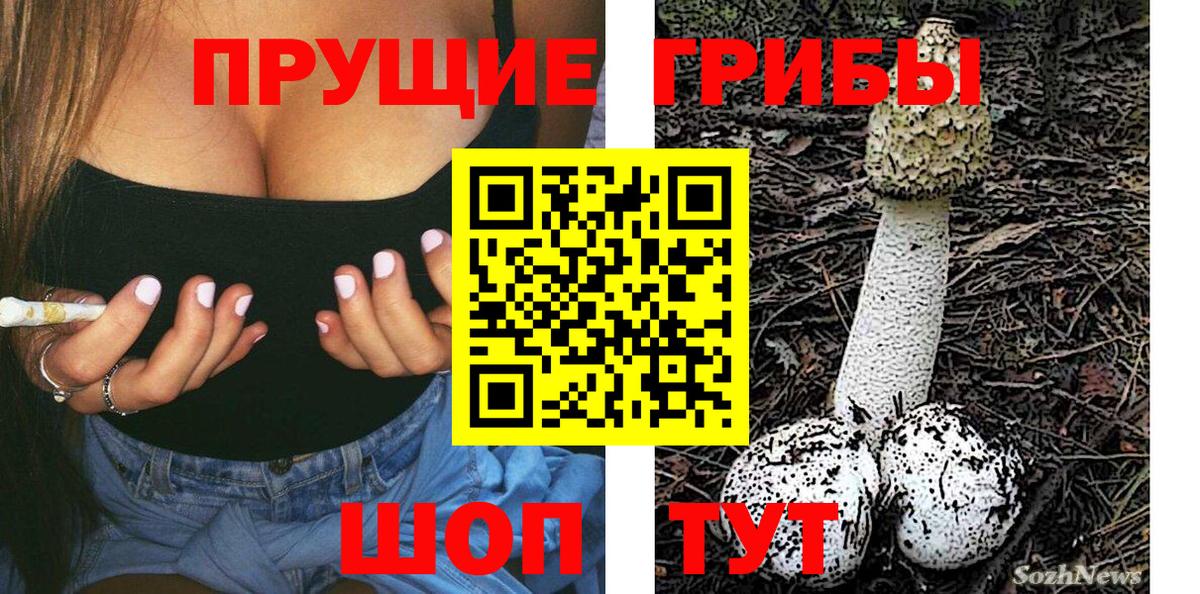 дарнет шоп  Галлюциногенные грибы MAGIC MUSHROOMS  Вход с VPN  Нягань 
